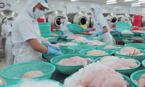 Exports of Vietnam’s agriculture and aquatic products to the UAE experienced well growth early this year