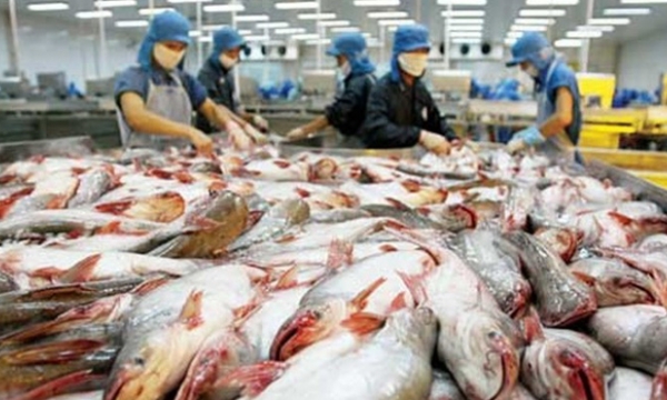 China drops to 4th position among the countries that import Vietnam’s tra fish