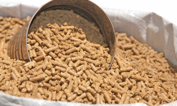 Imports of animal feed and raw materials into Vietnam increased sharply
