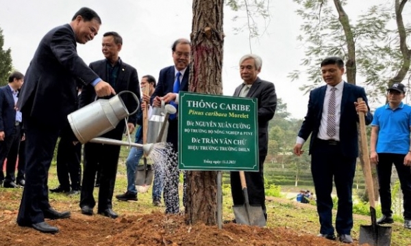 The Prime Minister officially approve the Scheme of planting 1 billion green trees