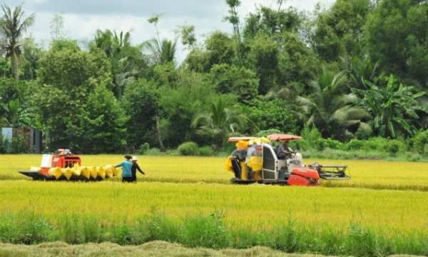 Food security is not about the amount of rice exported or in stock
