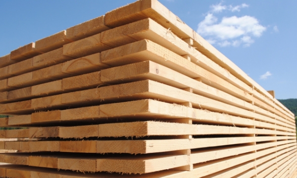 Vietnam promotes wood material imports from the EU