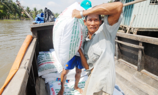 DAP fertilizer price once again surpasses the USD 700/ton mark