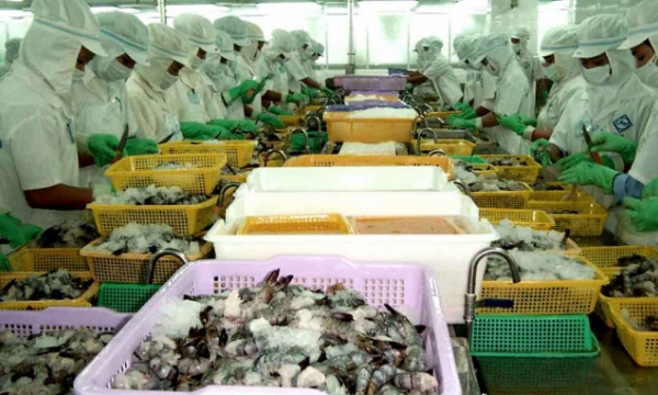 Seafood exports are expected to reach USD 8.7 billion