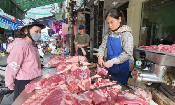 Hog prices are unlikely to spike during Tet