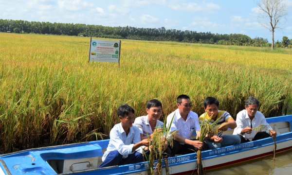Ecoagriculture - An option for Vietnam’s agriculture