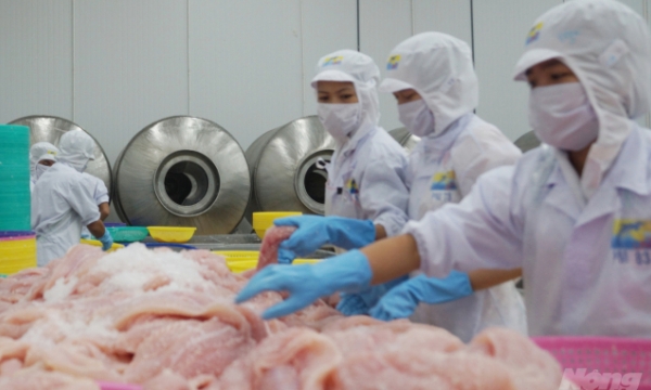Pangasius exports to the USA increase twofold