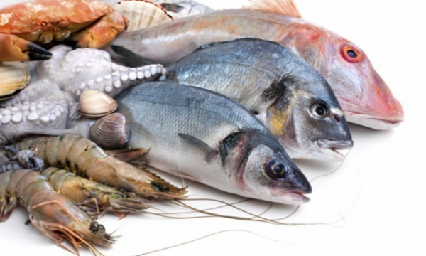 Seafood imports: Increase in global demands continue
