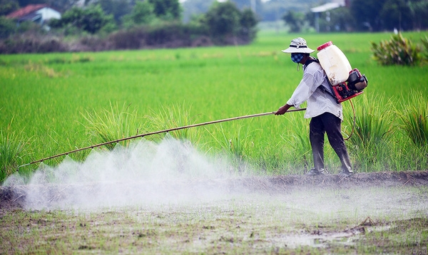 Responsible agriculture: remove harmful substances, promote biopesticide usage