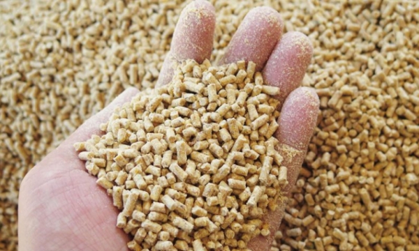 The price of animal feed rise once again