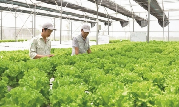 Ecoagriculture - Still a ‘fresh’ approach in Vietnam