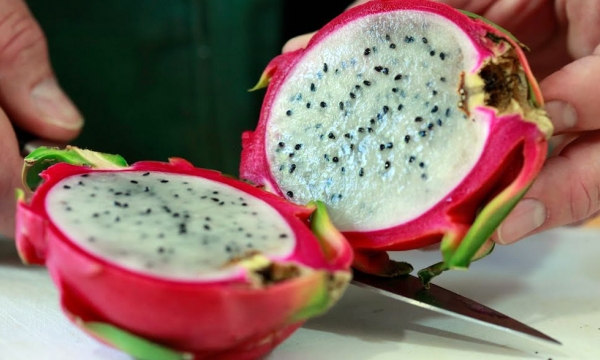 The determining criteria for dragon fruit inspection frequency need to be clarified