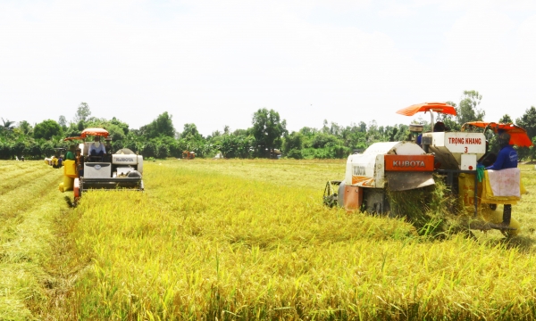 Over AUD 10 million support to reduce emissions in rice production