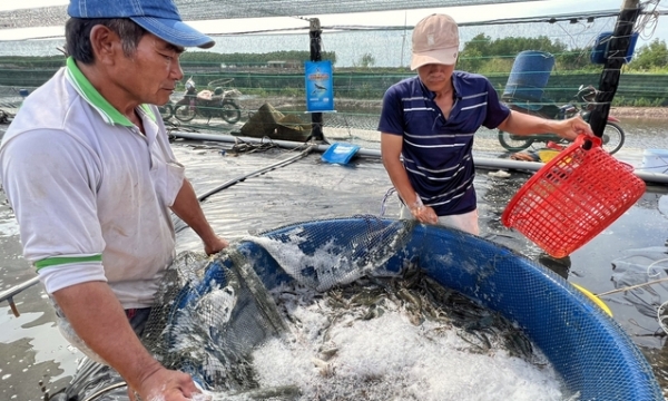 USD 20 billion: A bold target for Vietnam’s fishery export