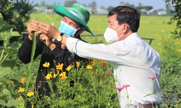 Protecting plants is protecting the health of 100 million Vietnamese