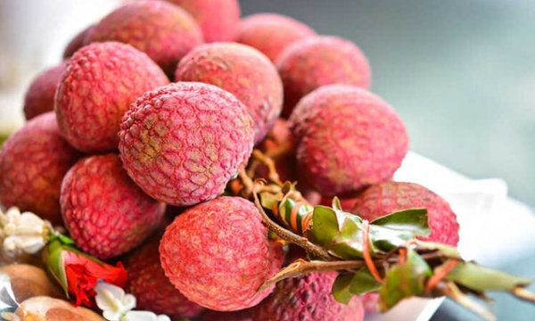 Vietnam stands firm as one of Australia’s top fruit suppliers