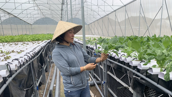 Ba Ria - Vung Tau in the smart agriculture boom