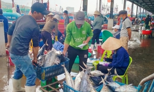 Khanh Hoa thoroughly handled ships cutting connection to cruise monitoring equipment