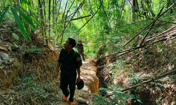 Forest keepers improve livelihoods thanks to environmental services