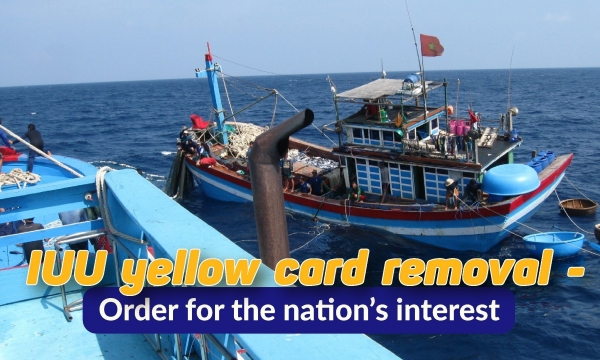 Not paying enough attention to the removal of IUU yellow card