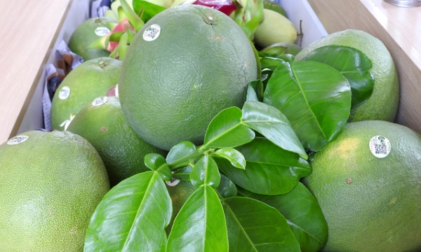 Vietnam's fruit and vegetable exports can reach US$ 4 billion in 2023