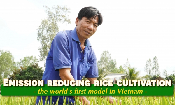 1 ha of rice requires USD 3,890 to achieve net zero emissions