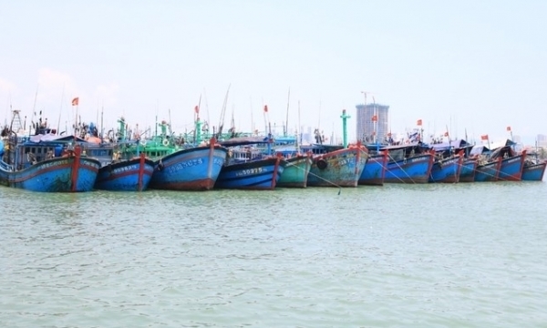 Agency heads that allow fishing vessels to violate will be appropriately sanctioned