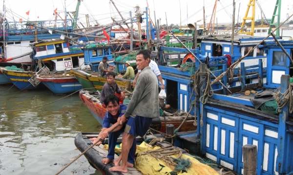 ‘Having a headache' with over 15 m long fishing vessels