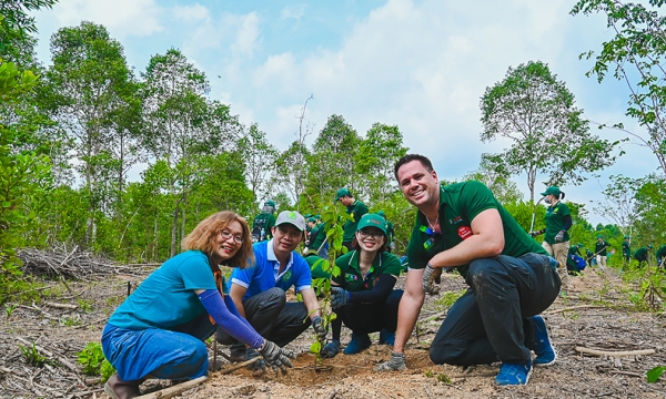 Planting precious timber trees contribute to biodiversity protection
