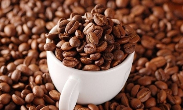 The coffee price on 05/26/2023: Reducing by VND 500/kg
