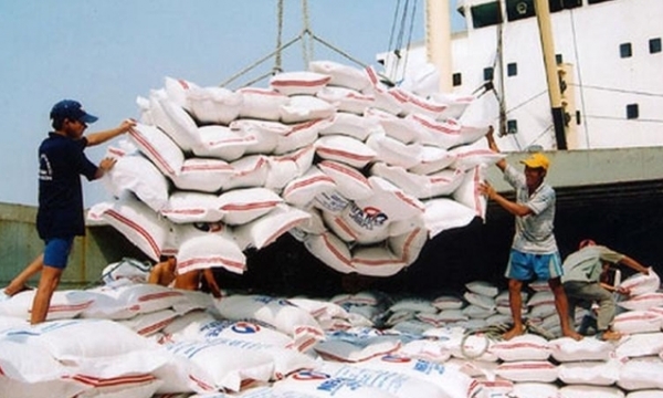 Development strategy to diversify rice export markets