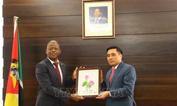 Mozambique expects Vietnam to exchange technology for cashew processing