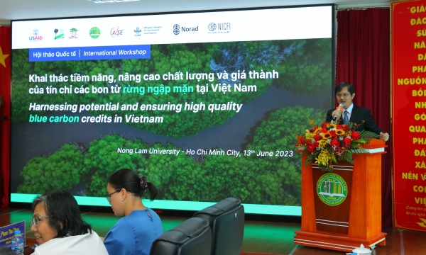 Foreign investors heading to Vietnam in search of blue carbon credit opportunities