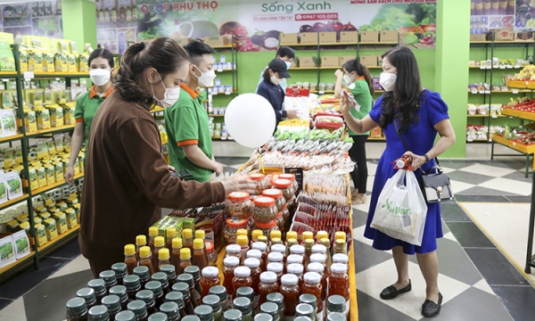Developing Vietnamese OCOP products associated with community tourism