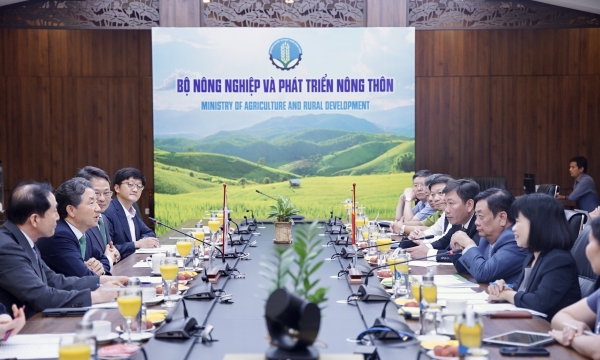 Vietnam and RoK enhance cooperation in multi-use forest development