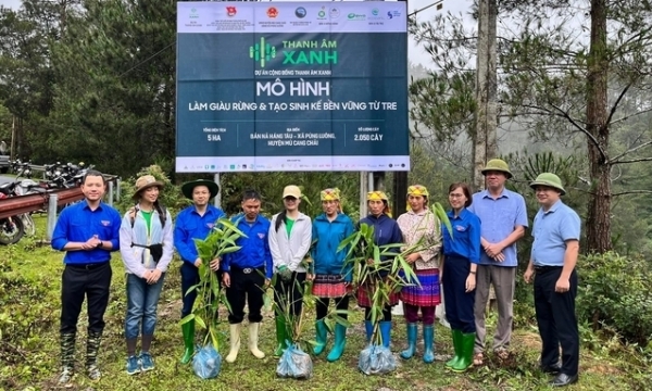 Planting 1 million bamboo trees to support sustainable livelihoods for upland people