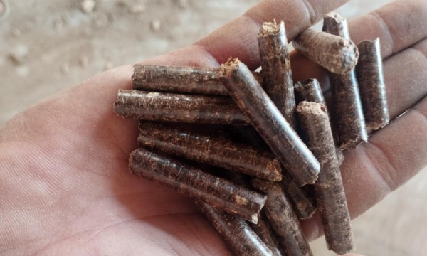 The price of wood pellet exports to South Korea is on the rise