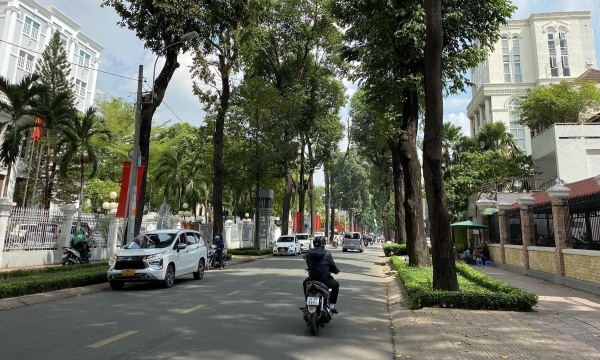 Green urban planning requires forest preservation and afforestation