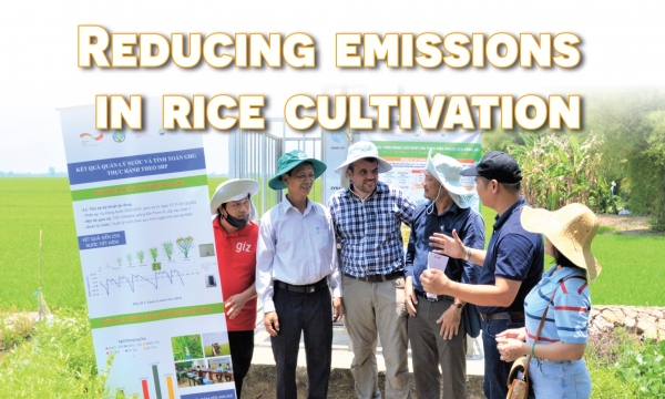 VnSAT leaves a deep mark on Vietnam’s rice fields