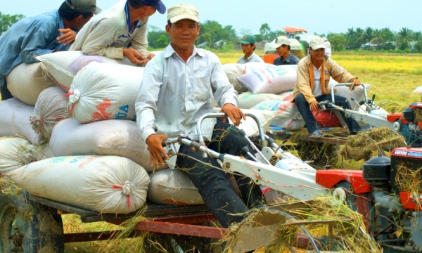 Mekong Delta - Obstacles in production: Creating linkage, only to find that it’s nowhere easy