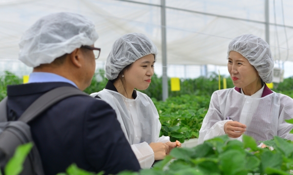 Korea grants USD 3 million to develop smart agriculture in Da Lat