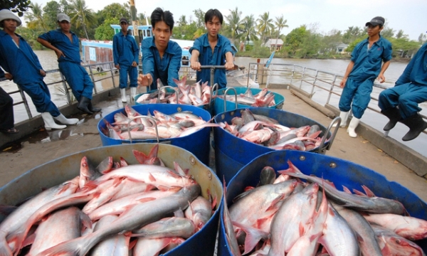 Fiscal space for Vietnam’s fresh fisheries products