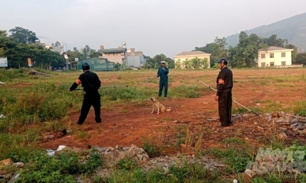 Quang Ninh reports an increase of rabies outbreaks