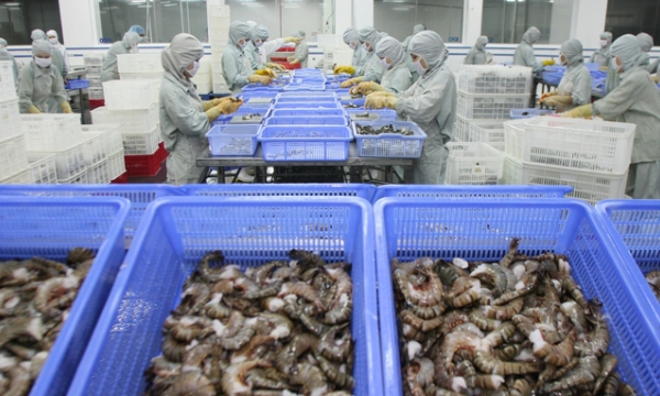 The door is wide open for Vietnamese fisheries products