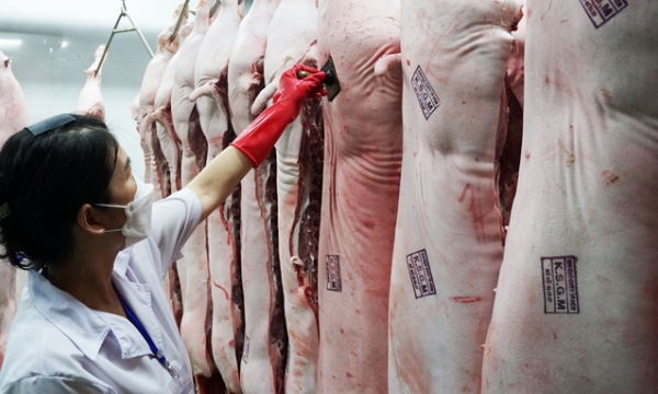 Strengthen management and control of pig slaughter
