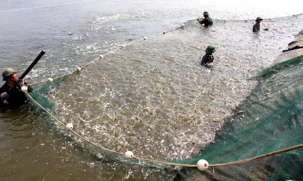 There may be a shortage of fish inputs in the last months of 2023