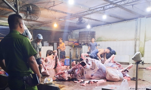 Dong Nai strives to put animal slaughter in order: There remain problems