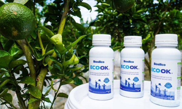The outstanding power of nanotechnology products from ECO OK rice husks