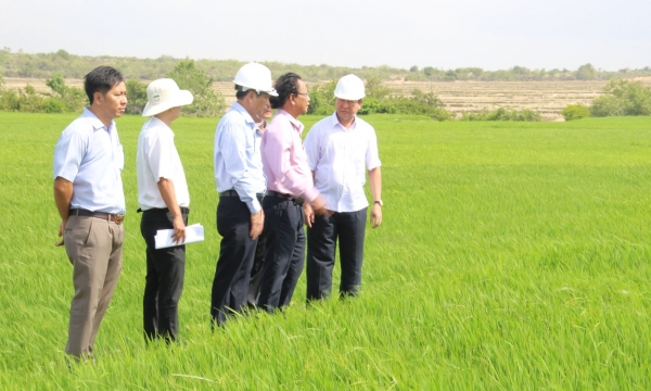 Ninh Thuận giữ vững chất lượng các tiêu chí nông thôn mới