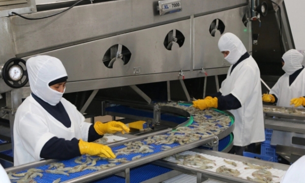 China suspends shrimp import from 3 Ecuador’s companies due to Covid